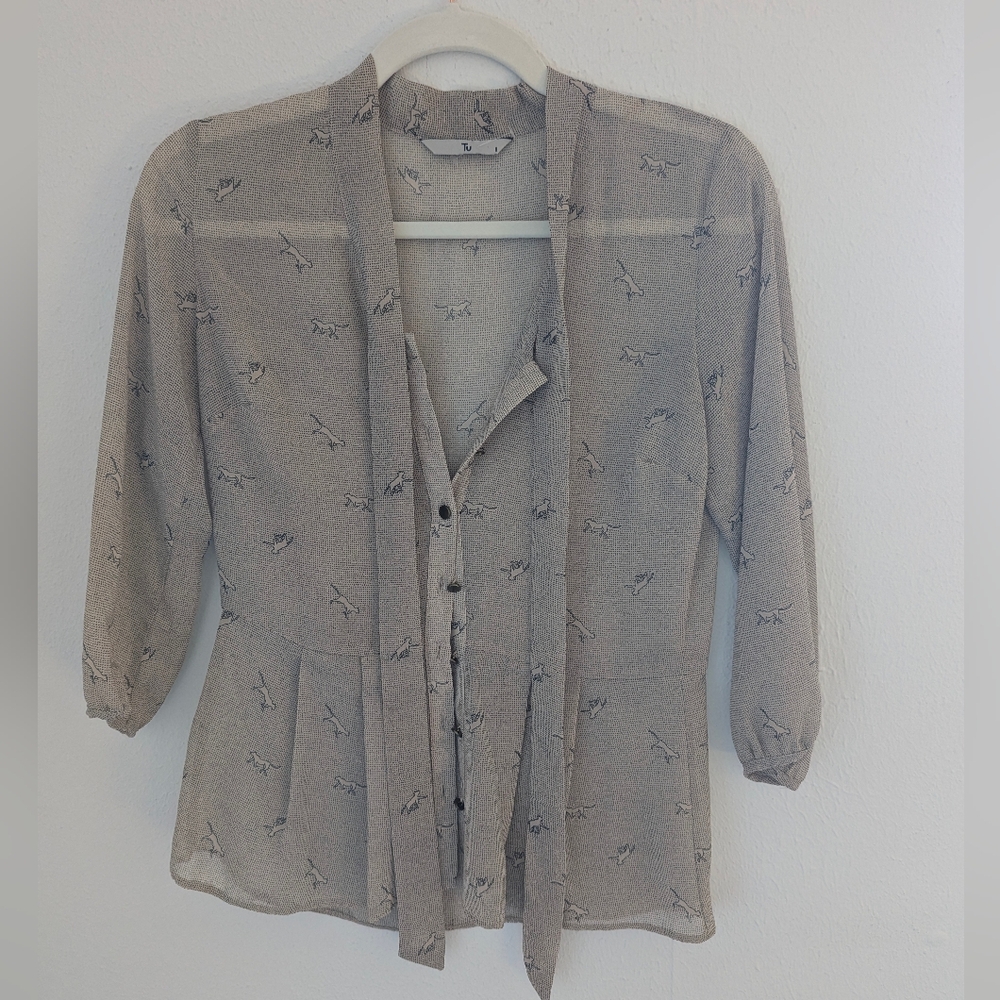 Sheer Button-Up Blouse with Tie